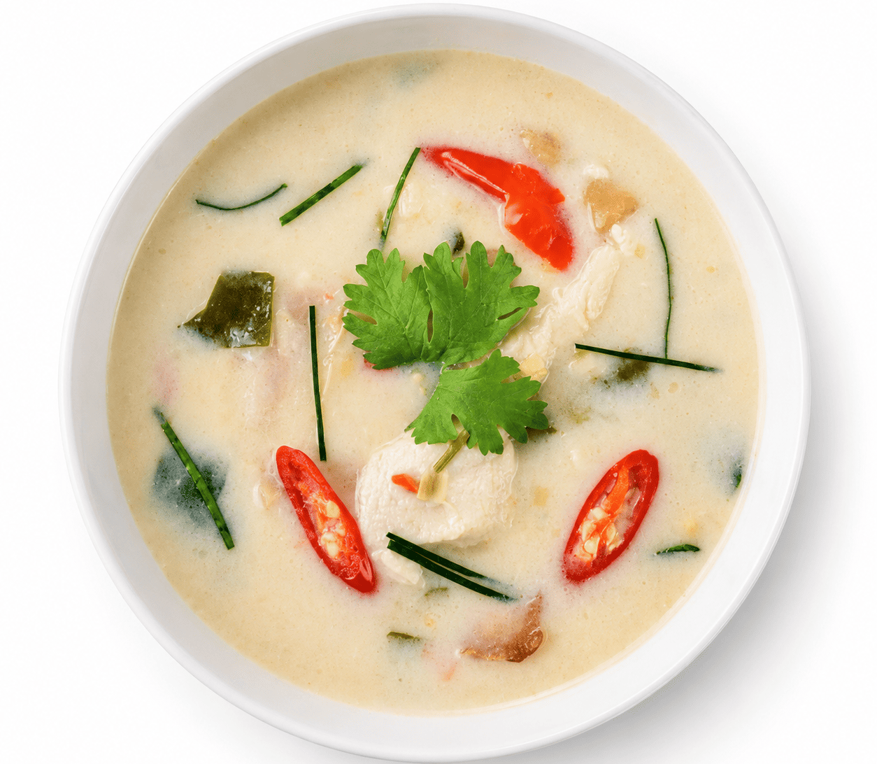 Coconut Chicken Soup