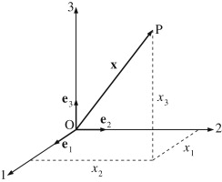 Vector