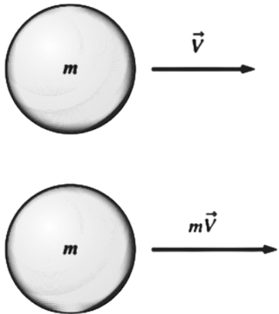 LinearMomentum