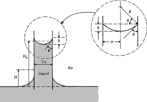 LiquidRiseCapillary