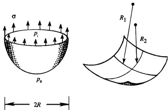 SphericalDroplet