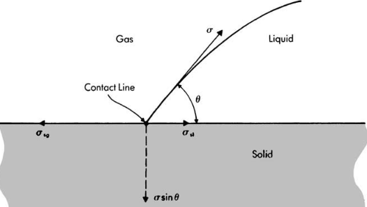 StaticEquilibriumLiquidGasSolid