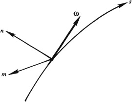 VorticityVectorCoordinate