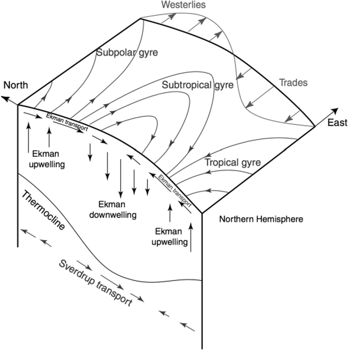 EkmanLayerThermo