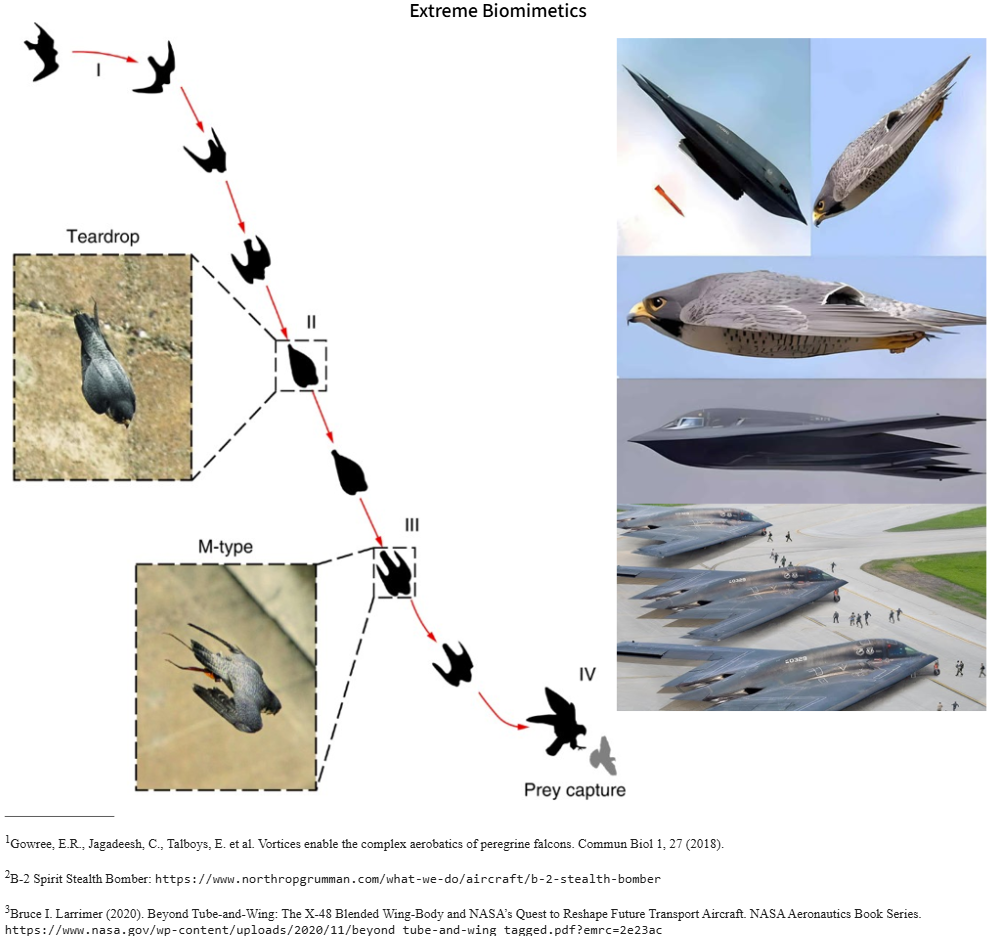 Slide 39