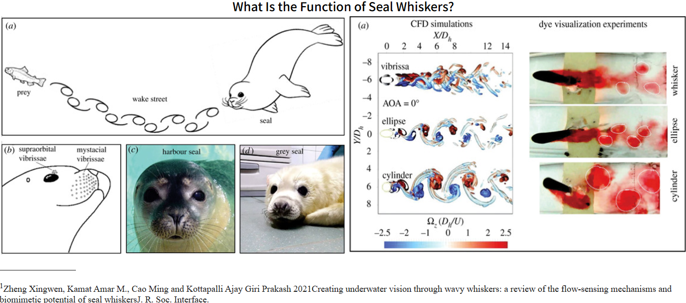 Slide 39