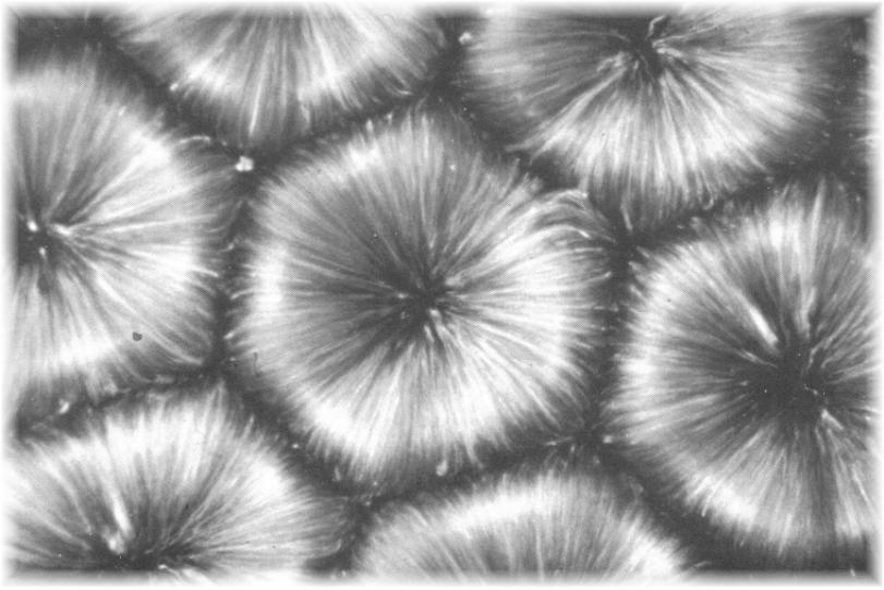 AluminumFlakesBenard