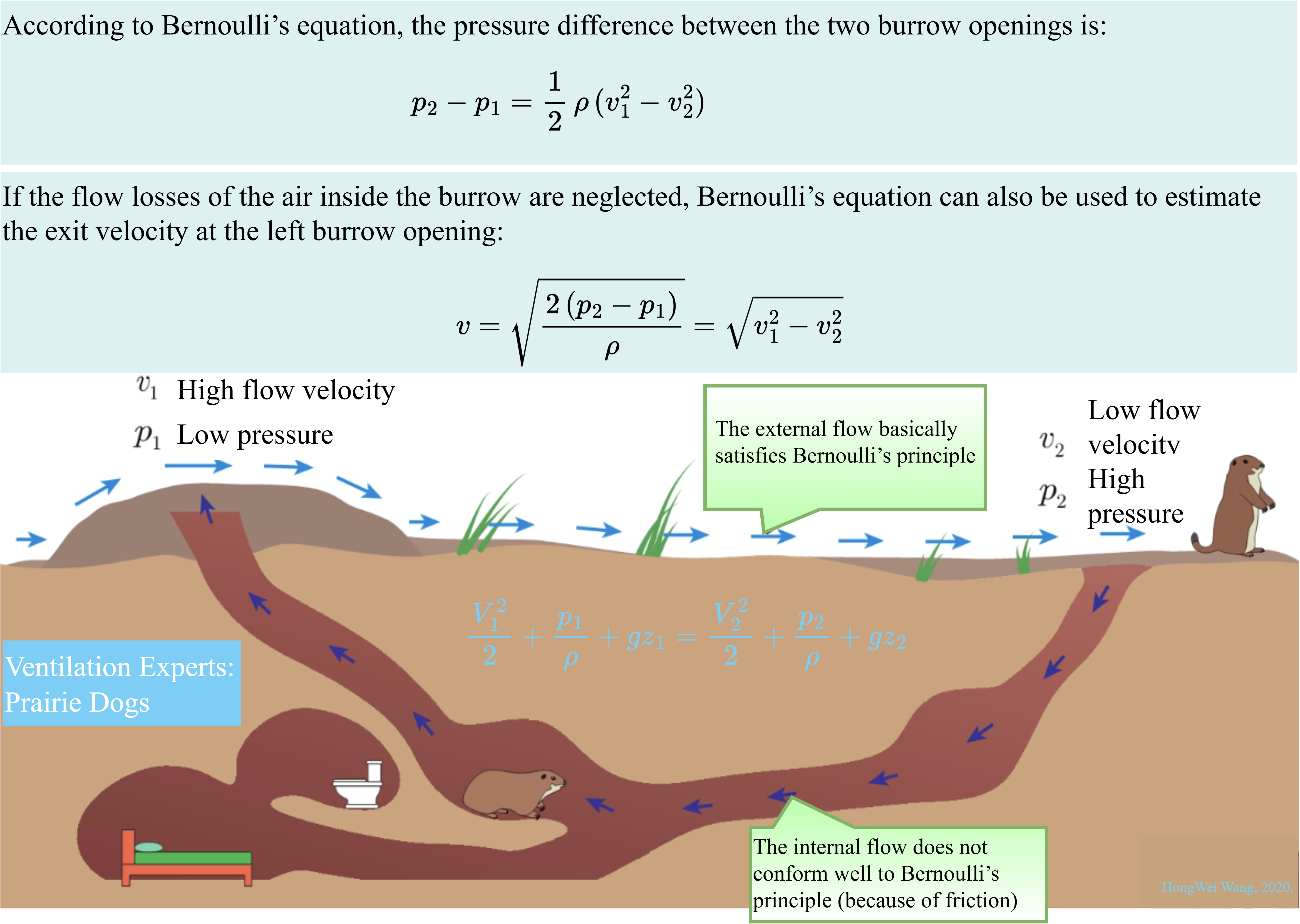 VentilationExpertsPrairieDogs
