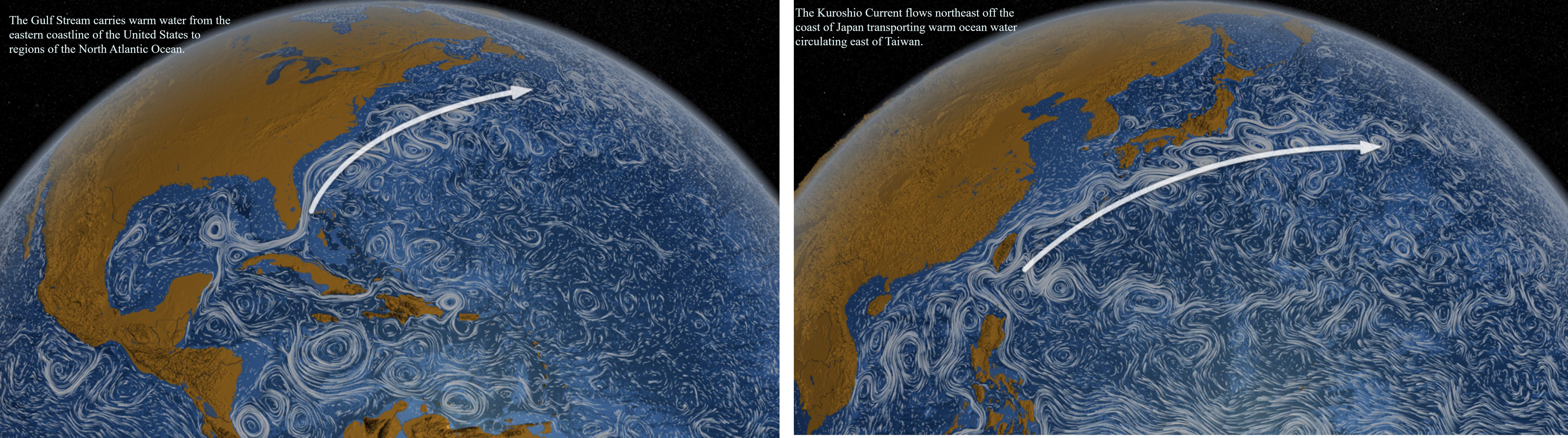 WesternBoundaryCurrentsEarthNasa