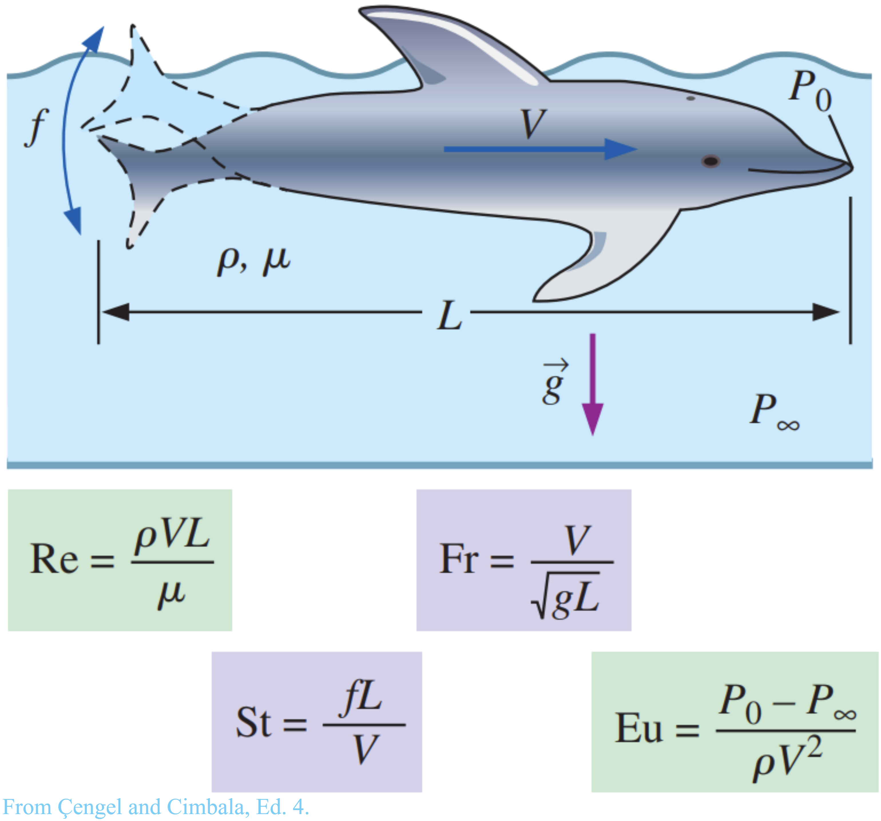 DolphinDimensionlessNumbers
