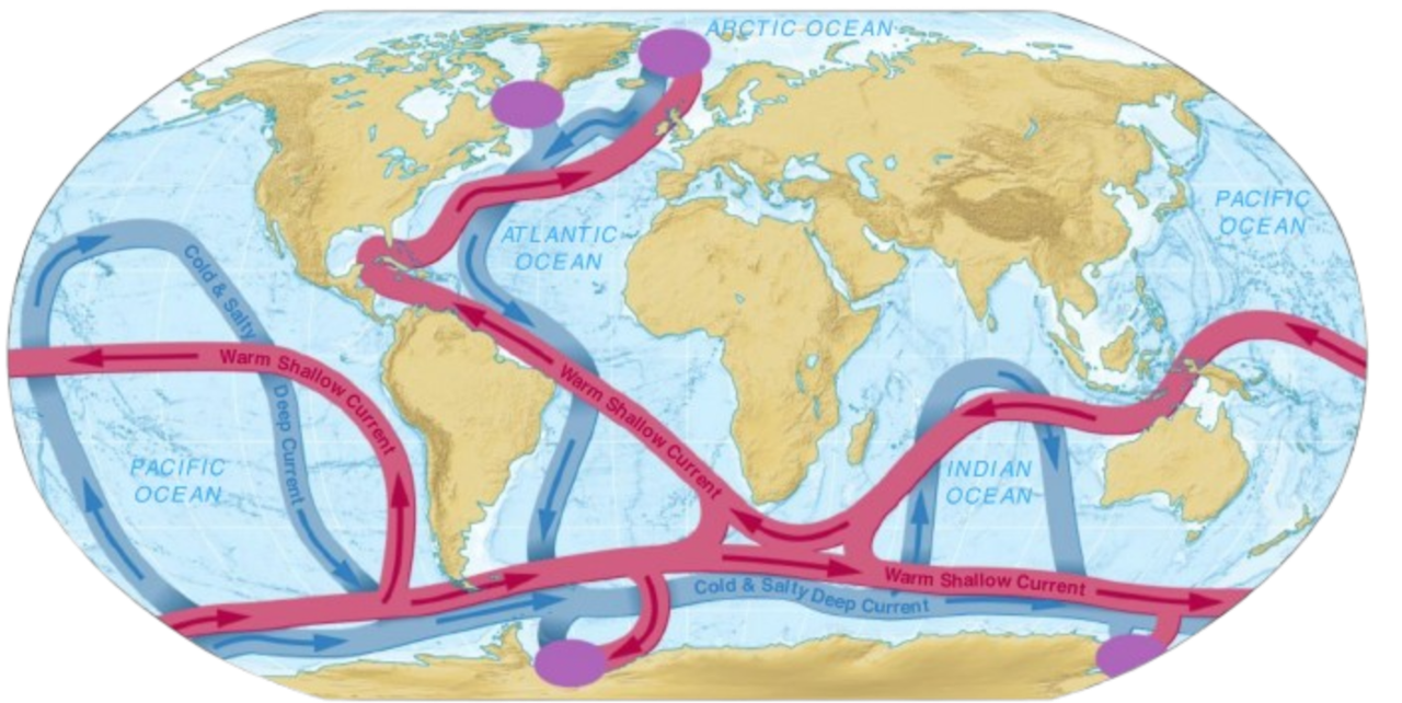 ConveyeBeltCirculation