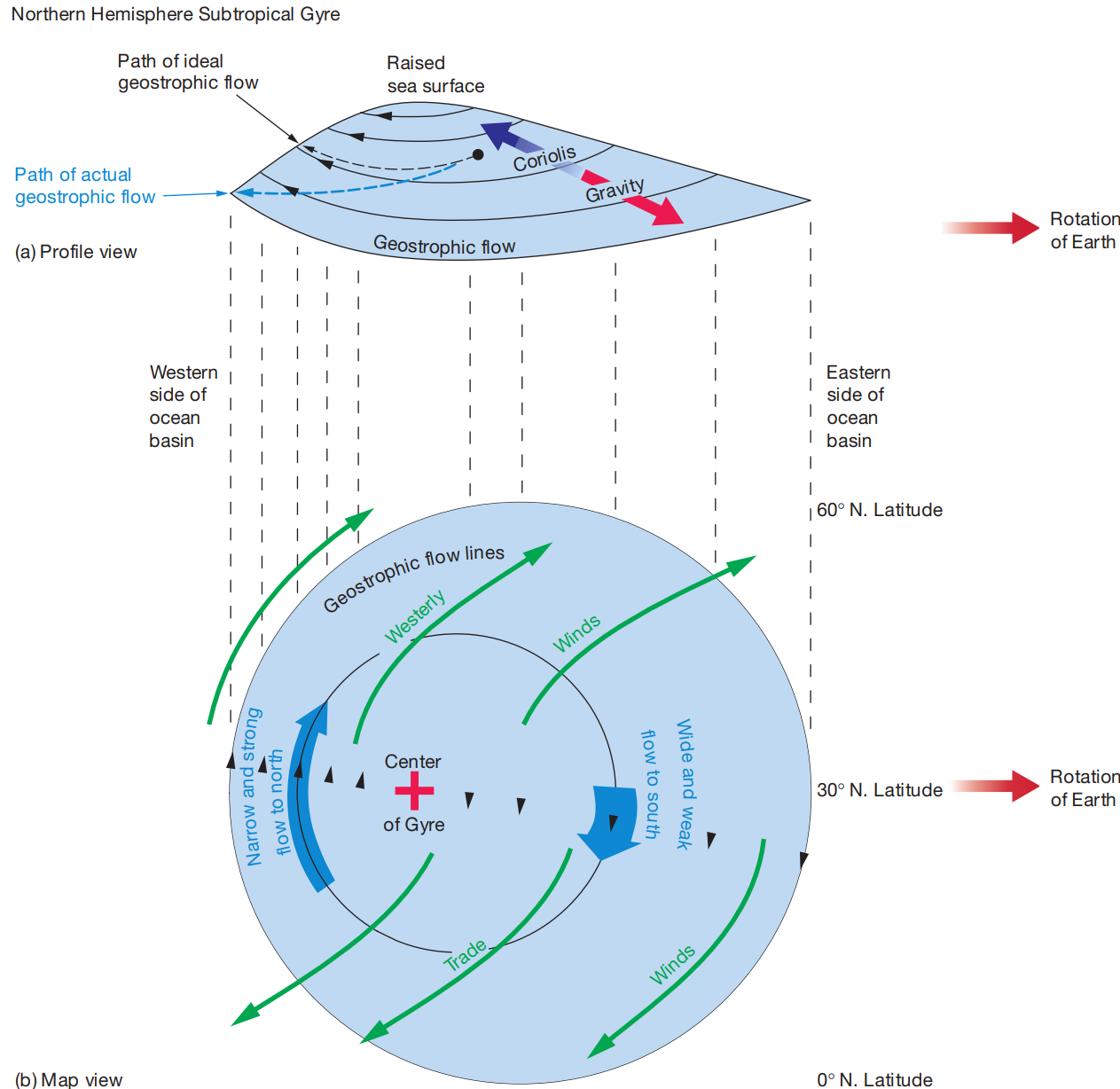 GeostrophicCurrentsWesternIntensification