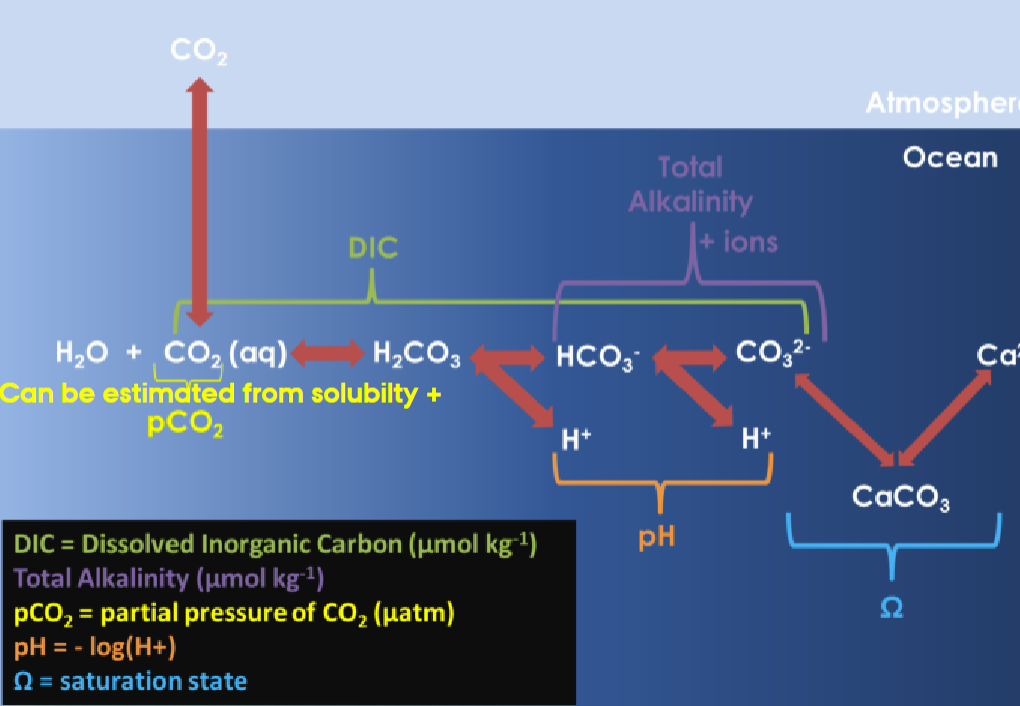 GreenlandGasWaterEquilibrium